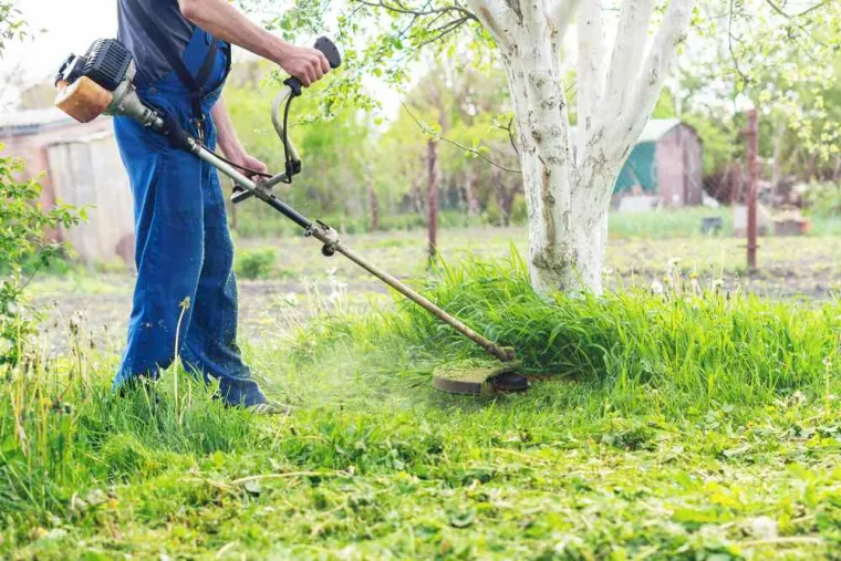 Débroussaillage des arbres et tonte de la pelouse d'un jardin privé, Saint-Pol-sur-Ternoise, Clément Quandalle