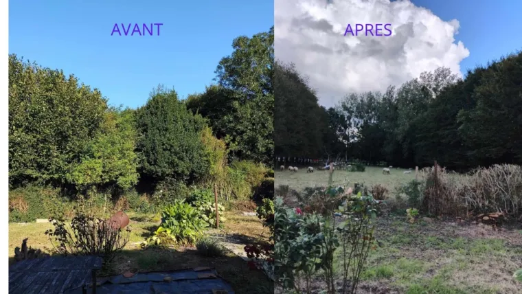 Chantier à QUOEUX-HAUT-MAISNIL , Saint-Pol-sur-Ternoise, Clément Quandalle