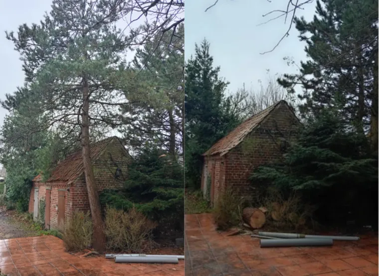 Intervention arbres dangereux, Saint-Pol-sur-Ternoise, Clément Quandalle