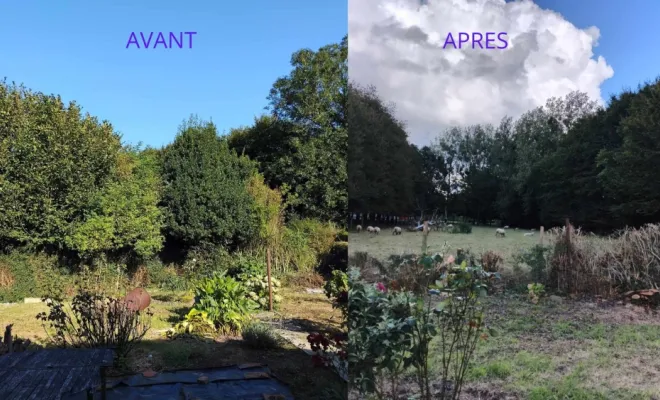 Rabattage de Haie à QUOEUX-HAUT-MAISNIL , Saint-Pol-sur-Ternoise, Clément Quandalle