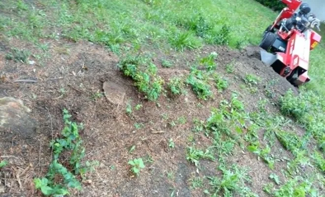 Entretien paysager, Saint-Pol-sur-Ternoise, Clément Quandalle