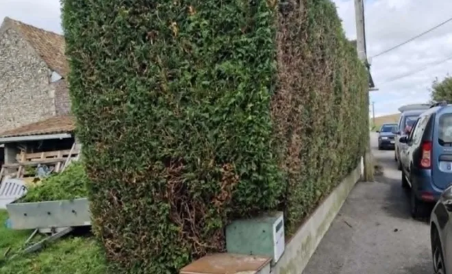Entretien paysager, Saint-Pol-sur-Ternoise, Clément Quandalle